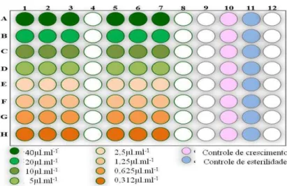 Figura 5- Esquema de organização da microplaca utilizada na determinação da Concentração Inibitória  Mínima do óleo essencial de C