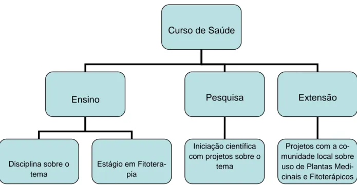 Figura 7 – Diagrama resumido sobre conteúdo de Fitoterapia para cursos de gradu- gradu-ação em saúde