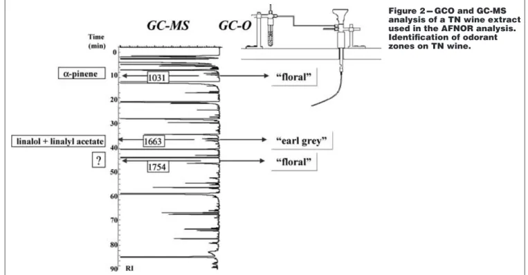 Figure 2 --- GCO and GC-MS analysis of a TN wine extract used in the AFNOR analysis.
