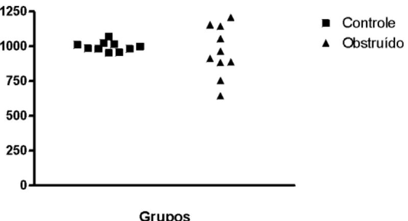 Figura 2 - Dosagem de hidroxiprolina, onde se evidencia variância significativa no grupo obstruído.
