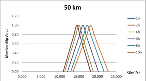 Figure 2 – Membership Functions of the flow 50 km of the origin, for different times.