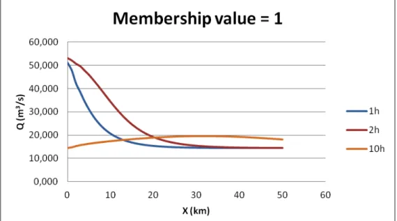 Figure 5 – Propagation of the wave for highest membership value for different times. 