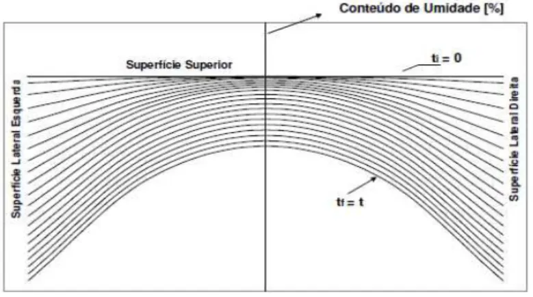 Figura 5: Gradiente de umidade na seção transversal da peça. 