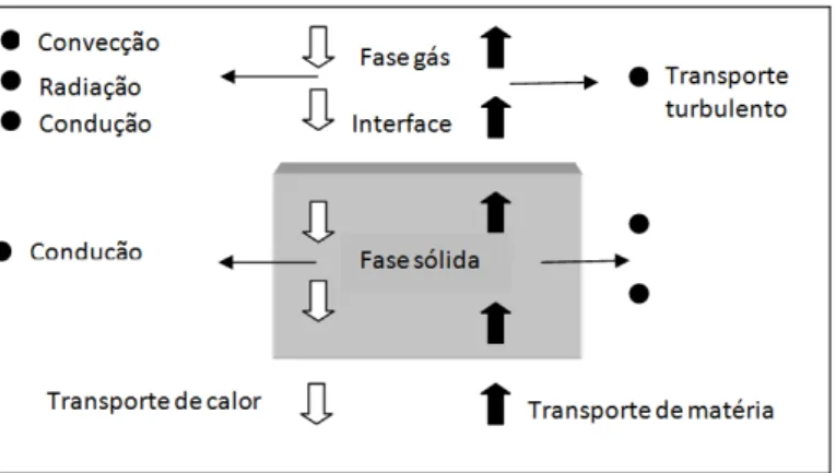 Figura 6: Fenômeno de transporte de calor e massa. 