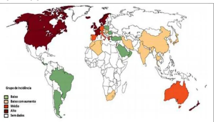 Figura 3 - Mapa global da DII 
