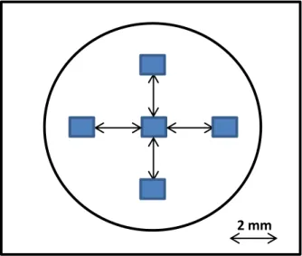 Figura  16:  Esquema  ilustrativo  do  padrão  em  cruz  utilizado  para  seleção  das  áreas  de  mensuração  da  rugosidade