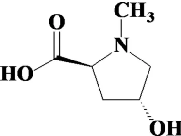 Fig.  1. Chemical Structure  of  N-methyl-(2S,4R)-  trans  -4-hydroxy-  l -proline (NMP)  isolated from the leaves  of Sideroxylon obtusifolium  