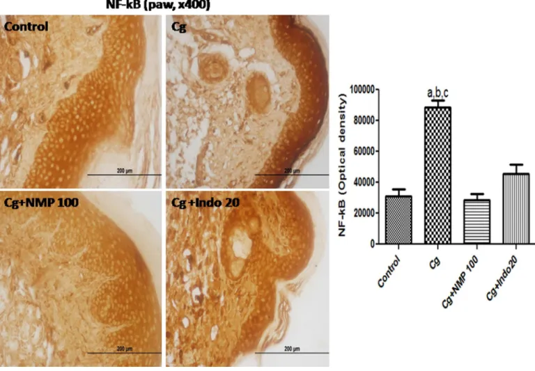 Fig. 10. N-methyl-(2S,4R)-  trans  -4-hydroxy-  l -proline (NMP) isolated from the methanolic extract of S