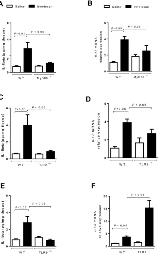 Fig 6. IL–1β levels and IL–18 expression are markedly decreased in the MyD88 -/- and TLR2 -/- mice