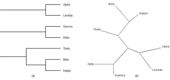 Figura 4.4 Árvores logenéticas equivalentes ao lograma da Figura 4.3 nas seguintes formas de re- re-presentação: a) cladograma retangular b) árvore livre.