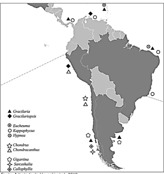 Figura 4 – Principais gêneros de macroalgas marinhas cultivadas em escala piloto na América Latina