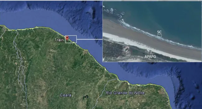 Figura  7  –  Localização  da  área  de  cultivo  -  Praia  de  Flecheiras  (03º13´06´´S  -39º16´47´´W),  município  de  Trairi,  estado  do  Ceará,  Brasil