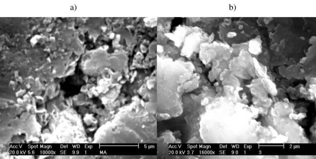 Figure 6.9 shows the micrographs for some samples of the 25 Series  with  different magnification, 8,000; 10,000 and 16,000 x
