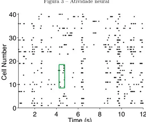 Figura 3 – Atividade neural