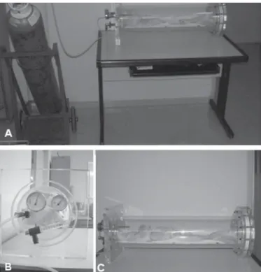 Figura 2. Câmara de oxigenoterapia hiperbárica: A) vista geral do tubo  de  oxigênio,  circuito  e  câmara;  B)  lateral  direita  da  câmara,  válvula  de  entrada,  manômetro  diferencial,  termômetro  e  fluxímetro  de  coluna;  C) manutenção de até 8 r