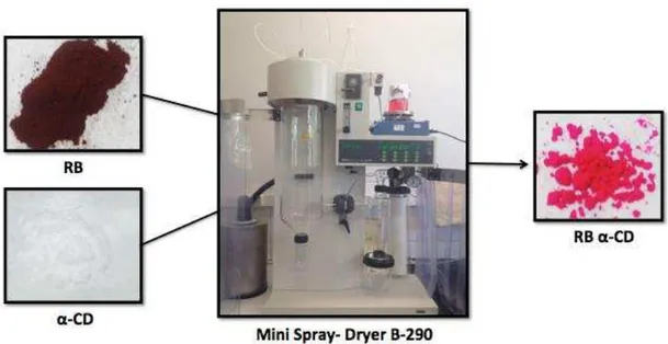 Figura 5:  Imagens do aparelho. mini Spray Dryer B-290 e dos compostos envolvidos na produção da    nanopartícula