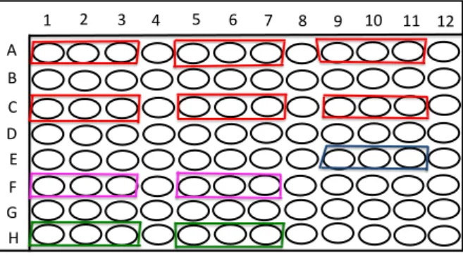 Figura 6: Desenho da placa de 96 poços utilizada no experimento com os 11 grupos experimentais