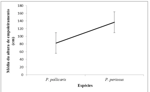 Figura 6: Médias da altura de empoleiramento utilizado pelos lagartos  P. periosus  e  P.