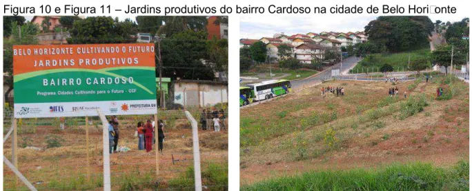 Figura 10 e Figura 11  –  Jardins produtivos do bairro Cardoso na cidade de Belo Horizonte  