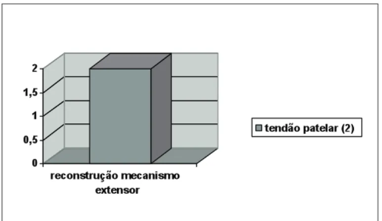 figura 7 – tipos de enxertos utilizados em reconstruções de lcp