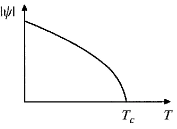 Figura 11 – Parˆametro de ordem em fun¸c˜ao da temperatura