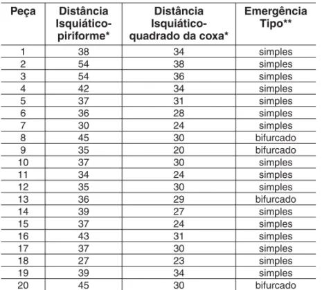 Tabela 1 - Medidas das distâncias isquiático-piriforme e isquiático-quadrado 