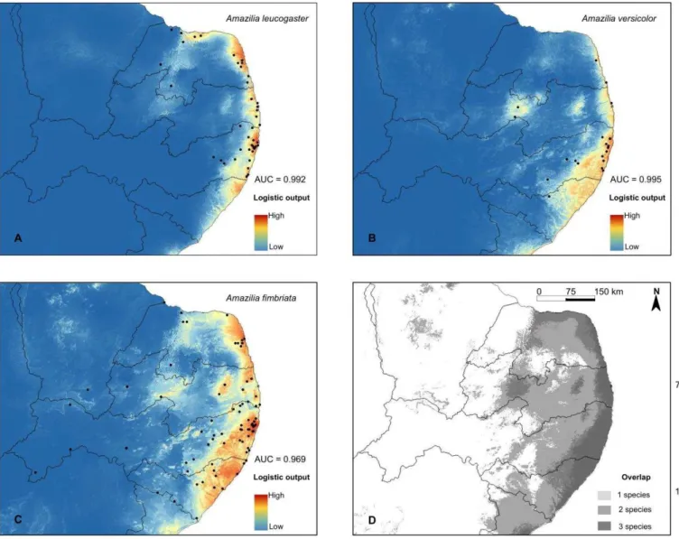 Figura 5. Modelagem de distribuição das espécies de Amazilia nos estados do nordeste oriental do Brasil