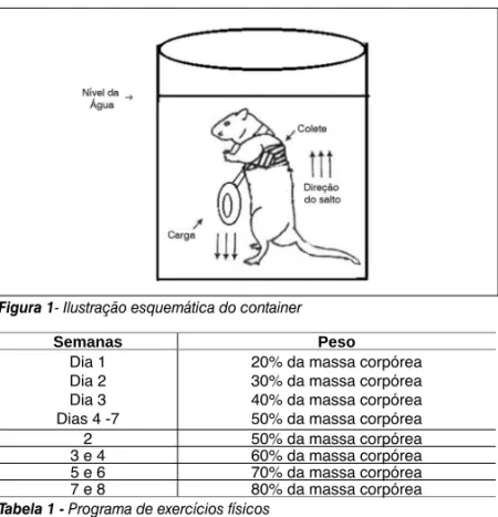 Tabela 1 - Programa de exercícios físicos Figura 1- Ilustração esquemática do container