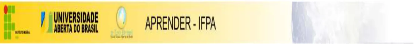 Figura 1 - Layout da página da Universidade Aberta do Brasil no IFPA 