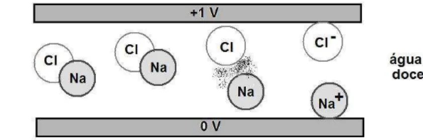 Figura 1.1: Esquema de funcionamento de um dessalinizador `a base de nanotubos de carbono