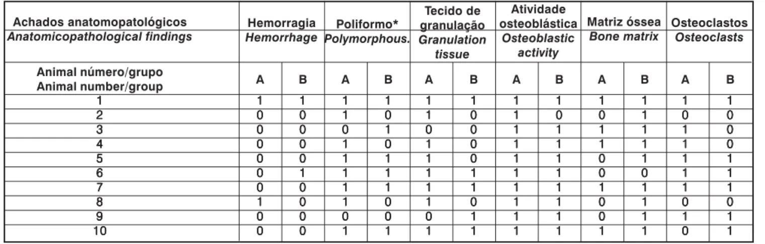 Tabela 2 - Resultados obtidos no grupo I (controle) e II (medula óssea) para cada animal de experimentação