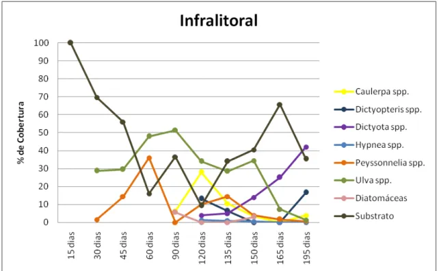 Fig  11.  Composição  e  porcentagem  de  cobertura  dos  grupos  de  macroalgas  no  setor  infralitoral de PI (período chuvoso)