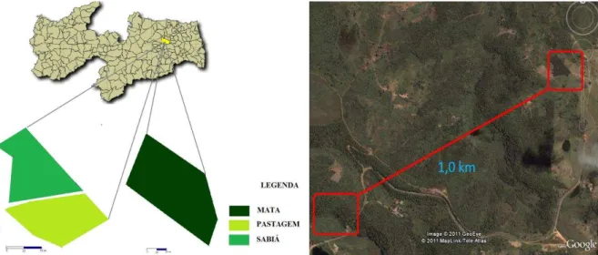 Figura  2-  Localização  das  áreas  sob  mata,  pasto  e  sabiá,  na  Fazenda  Morada  Nova  e  Engenho Jusara, no município de Areia  –  PB