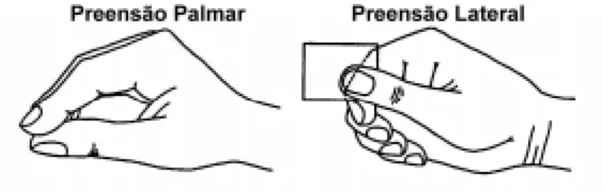 Figura 1 – Configuração e posicionamento dos dedos nas preensões palmar e lateral. Figure 1 – Configuration and positioning of fingers in palmar and lateral prehension.