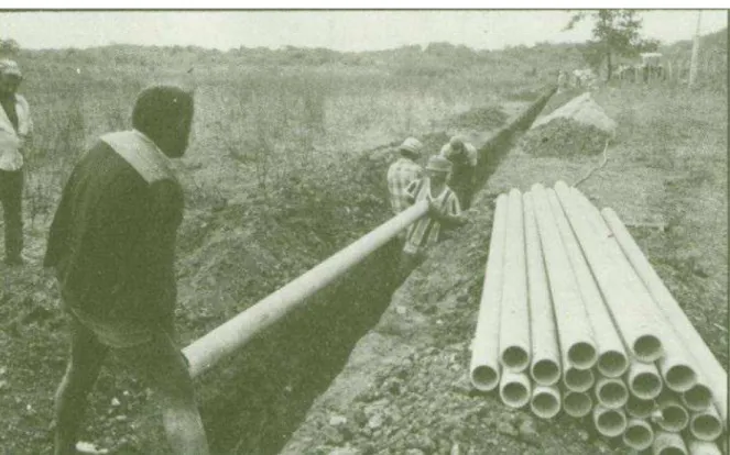Figura 2 - Agricultores implantando equipamentos de irrigação. 