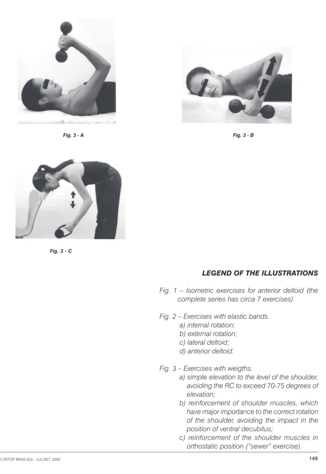 Fig. 3 - A Fig. 3 - B