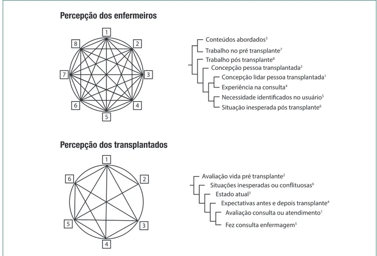 Figura 1.  Percepção dos enfermeiros e das pessoas transplantadas segundo clusteres por similaridade de codificação e suas  respectivas forças de correlação