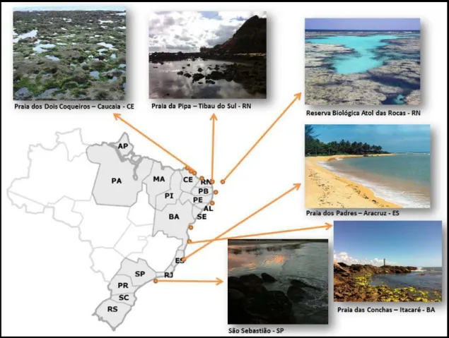 Figura 2. Pontos de coleta realizados ao longo do litoral brasileiro. 