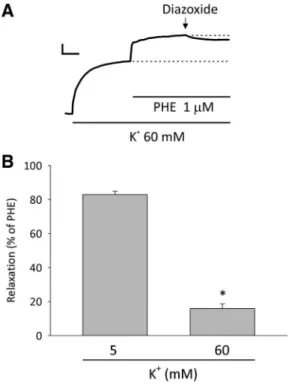 Fig. 6. Relaxant effects of diazoxide on the contraction induced by phenyl- phenyl-ephrine in rings of the rat mesenteric artery exposed to 5 or 60 mM K ⫹ 