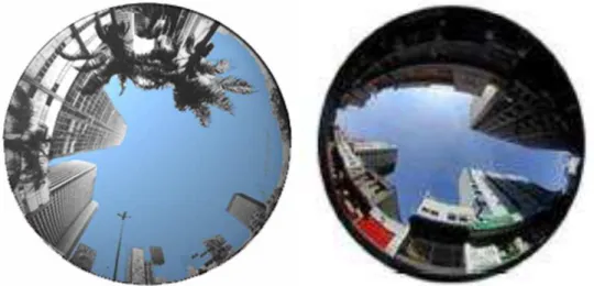 Figura 3.3 - Imagens tiradas com máquina fotográfica acoplada a uma lente “olho de peixe” 