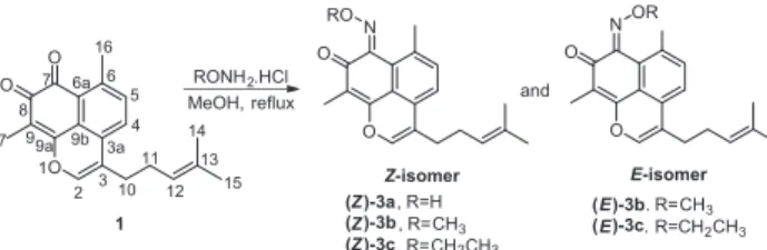 Figure 1. Hydrogen bond forming the six-membered ring in (Z)-isomers 2a, 2b and 3a.