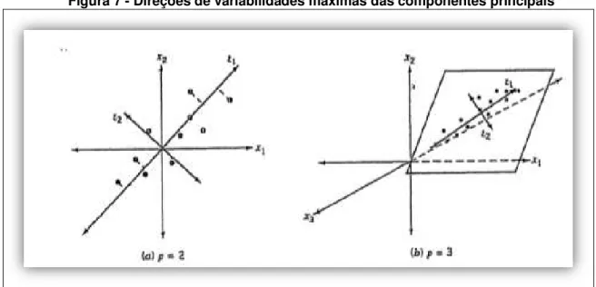 Figura 7 - Direções de variabilidades máximas das componentes principais 