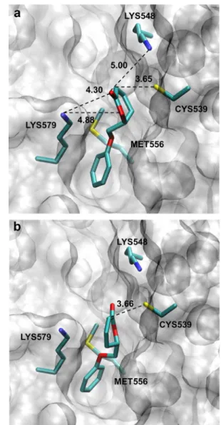 Fig. 2. Lower energy (Kcal mol 1 ) molecular ﬁt for (a) R-10d and (b) S-10d isomers.