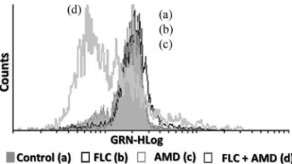 FIG 5 Histograms obtained by flow cytometry analysis of yellow fluorescence (YLW-HLog) of FLC-sensitive (A) and FLC-resistant (C) strains of C
