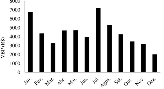 Figura 2 – Valor Bruto da Produção (VBP) mensal da Fazenda Carcará no ano de 2013.  