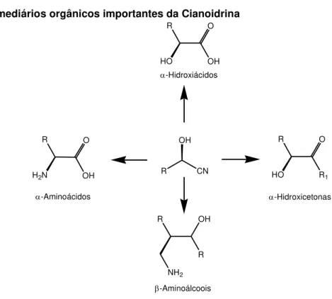 Figura 2 - Intermediários orgânicos importantes da Cianoidrina  R CNOH -Hidroxiácidos -Hidroxicetonas-Aminoácidos -AminoálcooisRHO O OH R HO OR 1ROHRNH2RH2NOOH