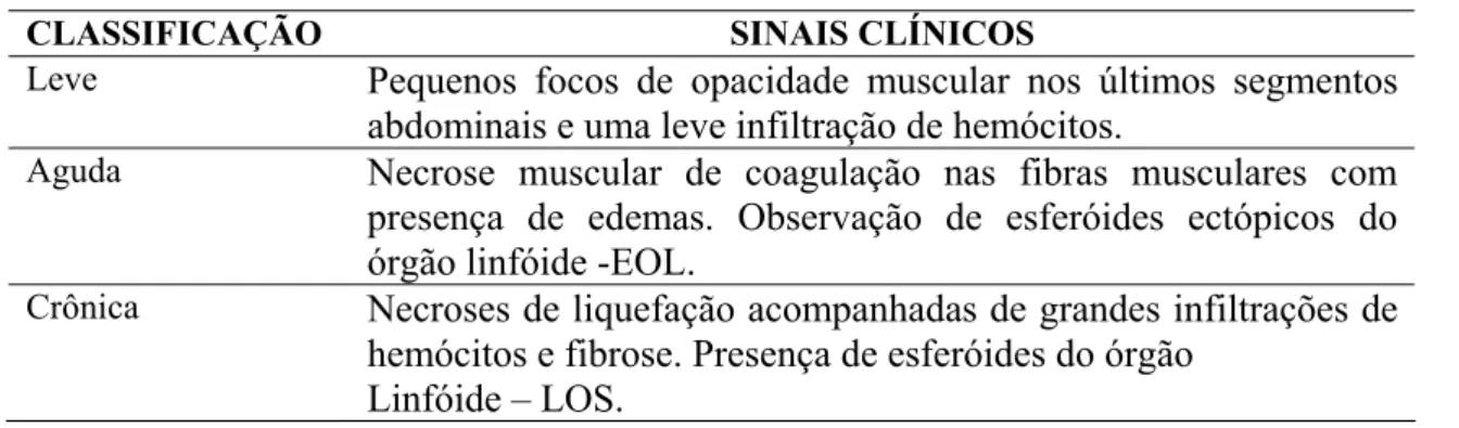 Tabela I – Classificação dos sinais clínicos da Mionecrose Infecciosa.