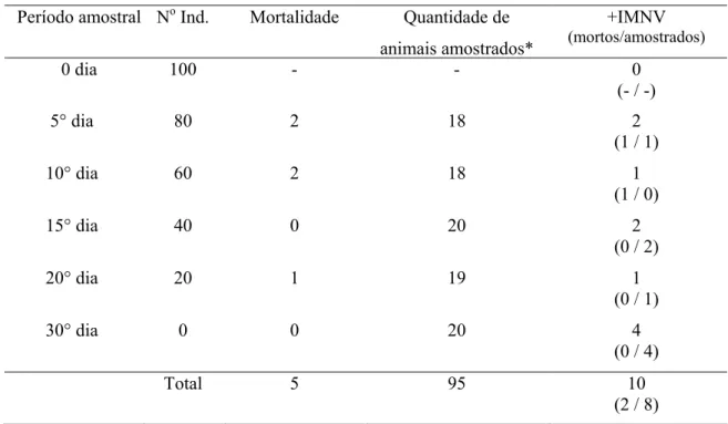Tabela II - Número de camarões da espécie F. subtilis reagentes para IMNV. 