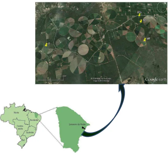 Figura 1: Localização das áreas com sistemas de cultivos irrigados com banana (B2 e B15),  sucessão  milho  e  feijão  (MF)  e  pastagem  (P)  no  Perímetro  Irrigado  Jaguaribe/Apodi,  Limoeiro do Norte-CE   