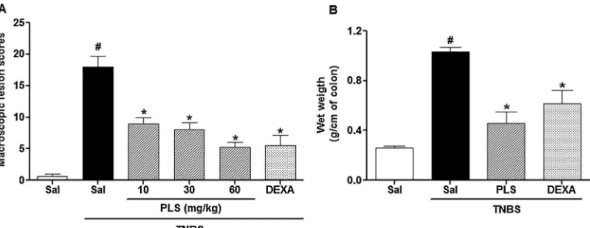 Fig. 3. Sulfated polysaccharide (PLS) extracted from Hypnea musciformis reduces macroscopic scores (A) and wet weight (B) of the colons of the rats with colitis induced by TNBS.